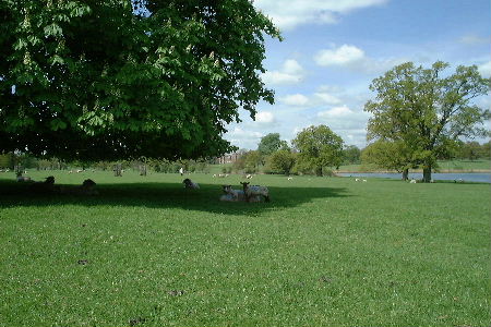 Corsham Park